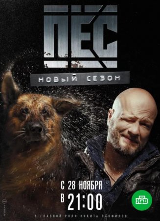 Пёс (5 сезон: 1-20 серии из 20) (2019)