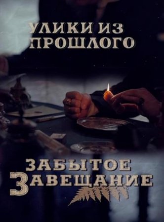 Улики из прошлого. Забытое завещание (3 сезон) (2021)