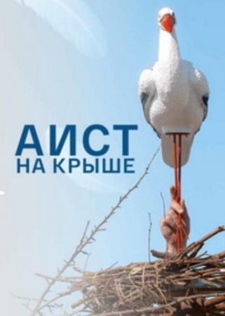 Аист на крыше (1-4 серии из 4) (2021)